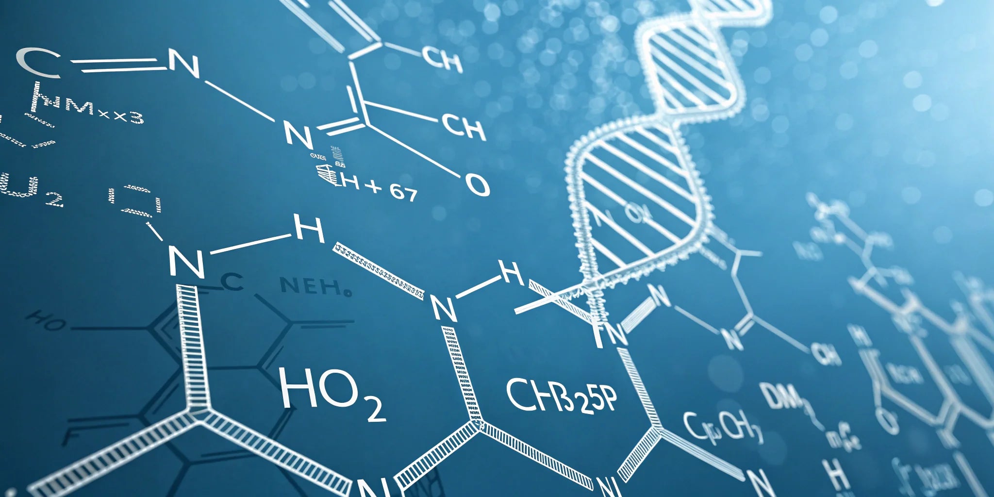 Diagram illustrating signal peptides such as GHK-Cu binding to fibroblast receptors and activating ECM-related pathways in vitro.