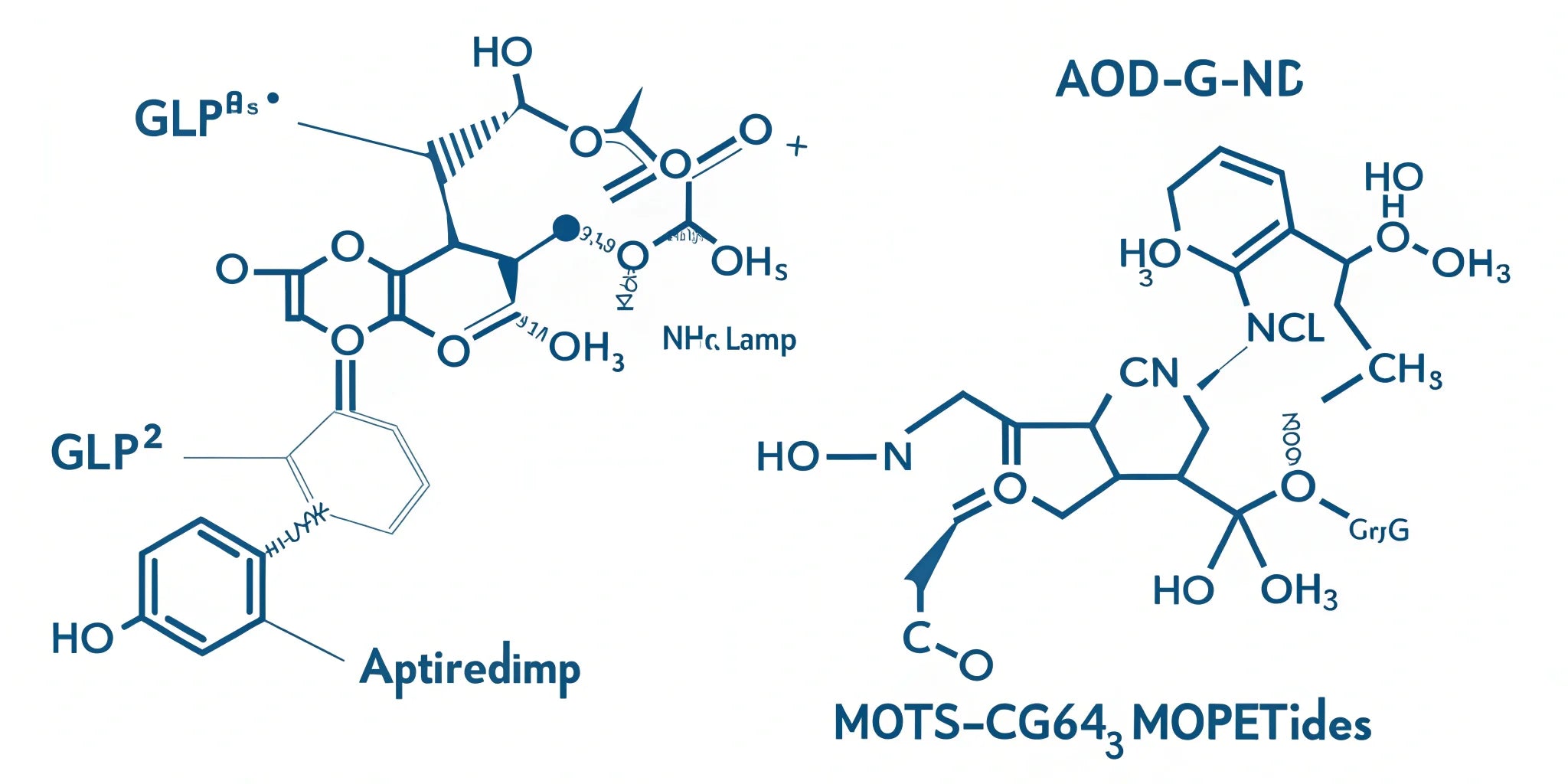 Scientific diagram showing GLP-1 biased agonism, AOD-9604 lipolysis pathways, and MOTS-c AMPK activation in metabolic research models.