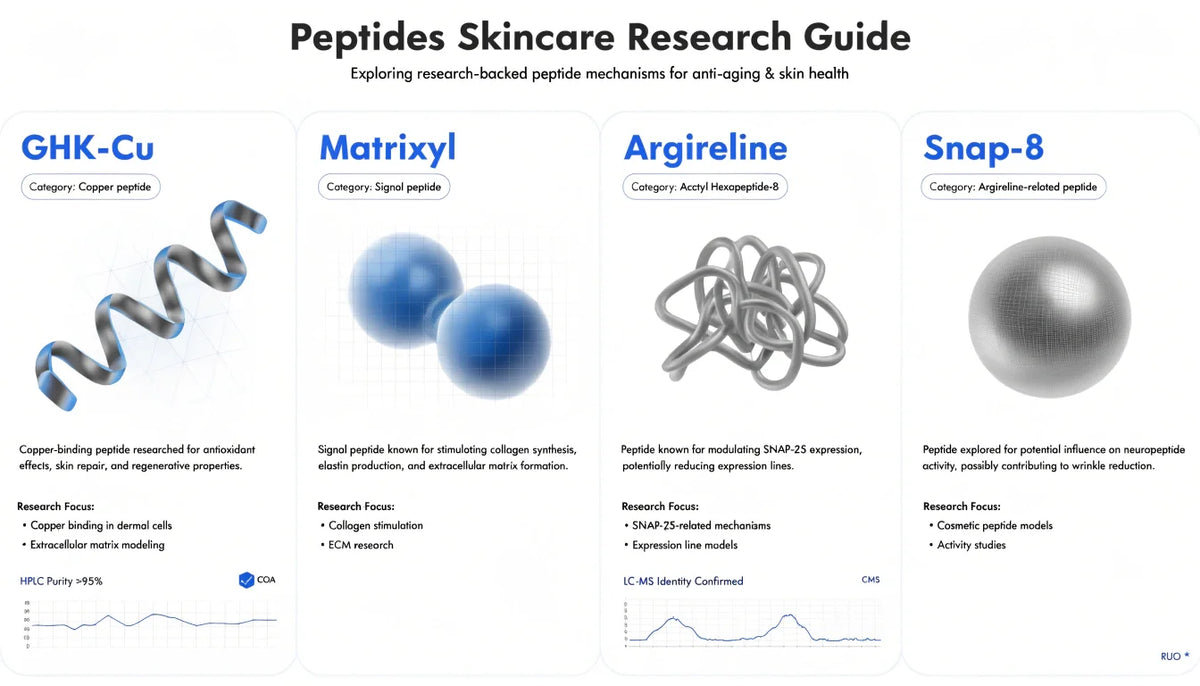 Peptides Skincare Research Guide: GHK-Cu, Matrixyl, Argireline & Cosmetic Peptides