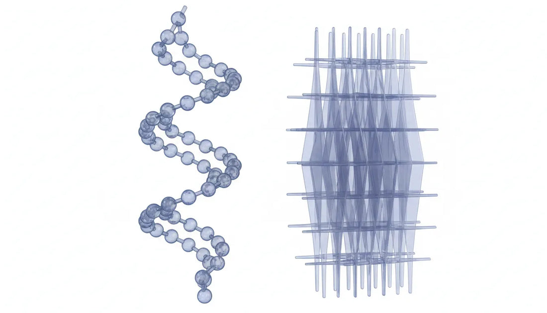 3D illustration showing the polypeptide backbone structure of a protein forming alpha helices and beta sheets
