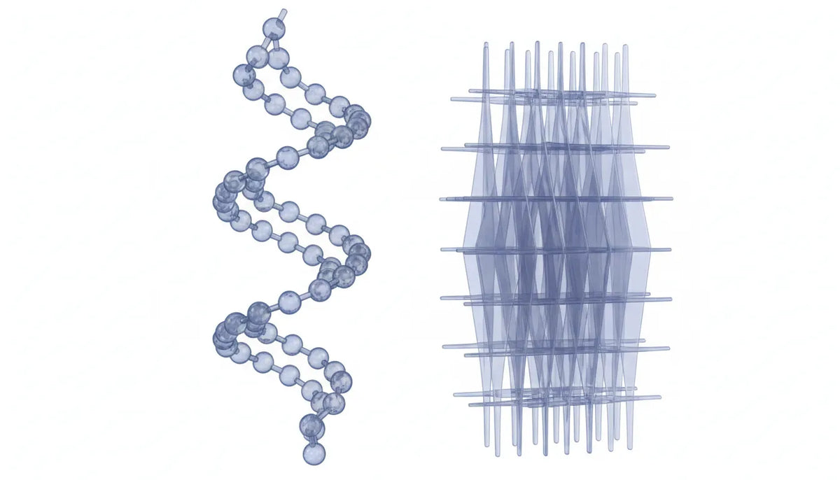 Peptide Backbone Structure: What N–Cα–C Stands For (Protein Backbone Explained)
